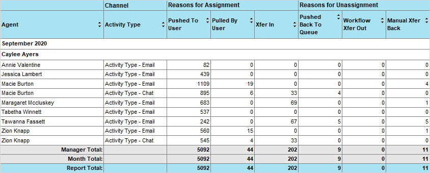 The Activity Assignment by Agent report